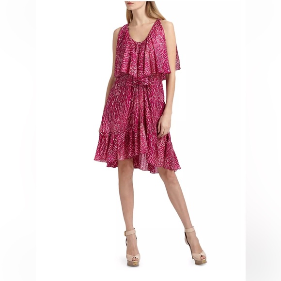 Cynthia Steffe Carey Silk Chiffon Fuchsia Printed Ruffle Lined Dress size 10 - Picture 1 of 15